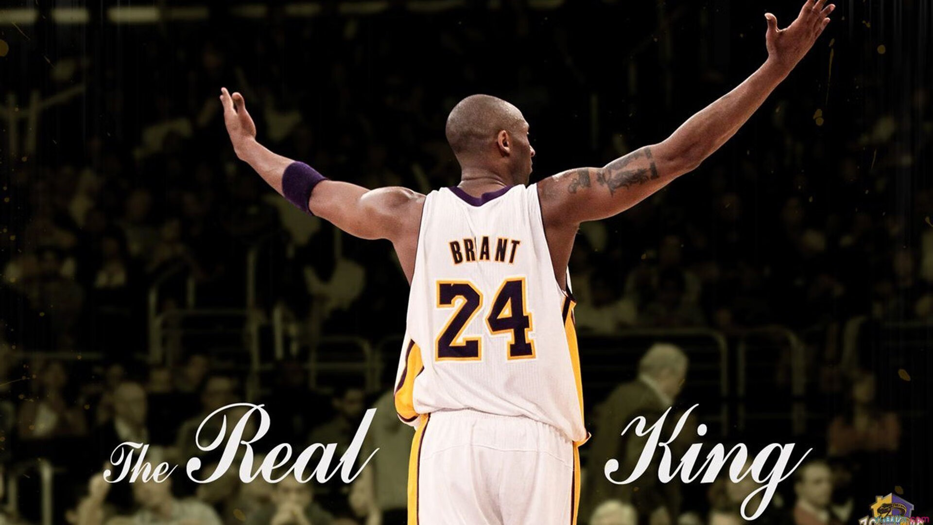 德罗巴新星逆转表现惊艳，巴塞罗那未来可期！-爱游戏ayx注册